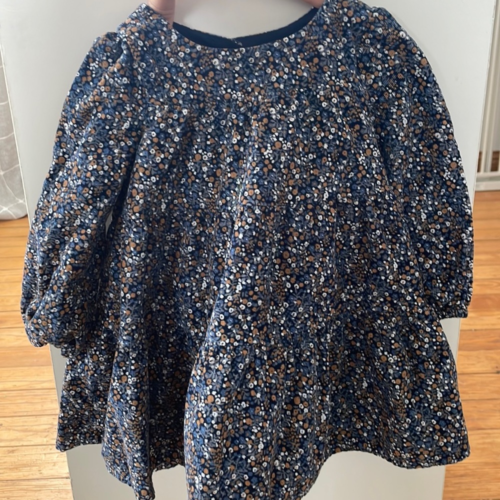 babyGap EUGC Corduroy Floral Dress